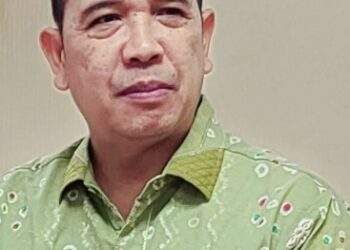 PERADI PROFESIONAL: Paradigma Baru Organisasi Advokat Indonesia