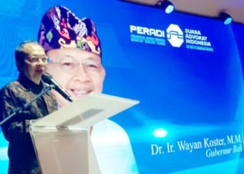 Pemprov Bali Siapkan Perda Baru, LPD Akan Diperkuat Berbasis Hukum Adat
