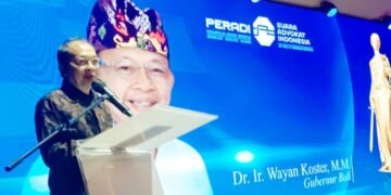 Pemprov Bali Siapkan Perda Baru, LPD Akan Diperkuat Berbasis Hukum Adat