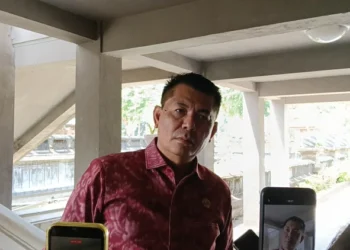 Ketua DPRD Bali Dukung Pemprov Banding Putusan PTUN soal Lift Kaca Pantai Kelingking